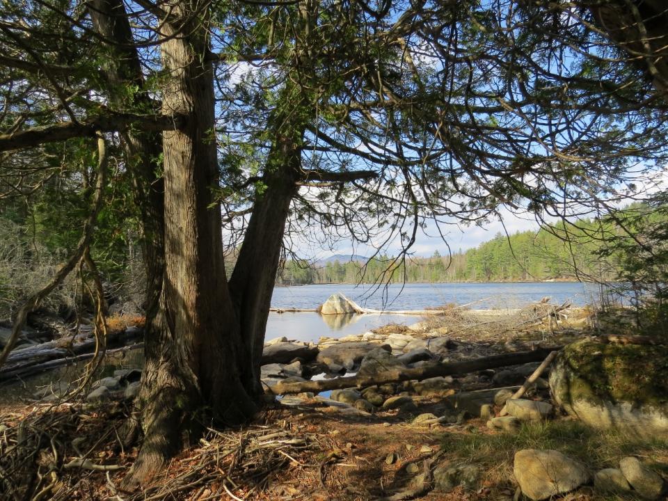 Clear Pond at Chain Lakes Road South