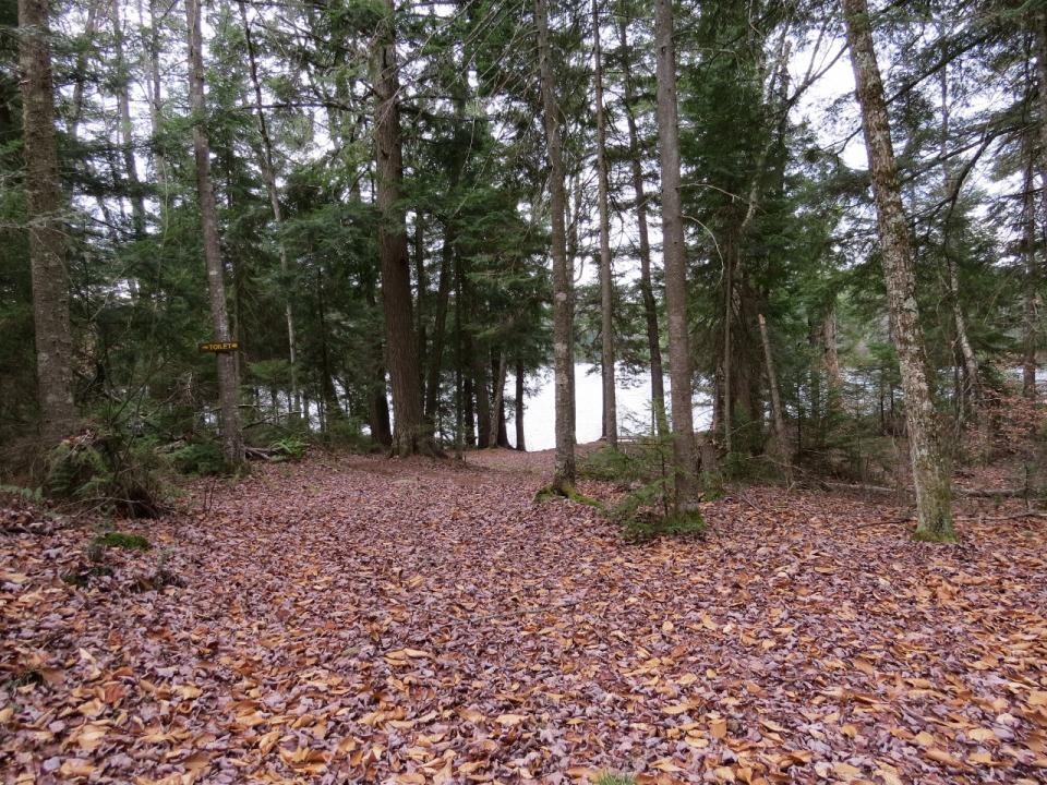 Camp Site at Pine Lake