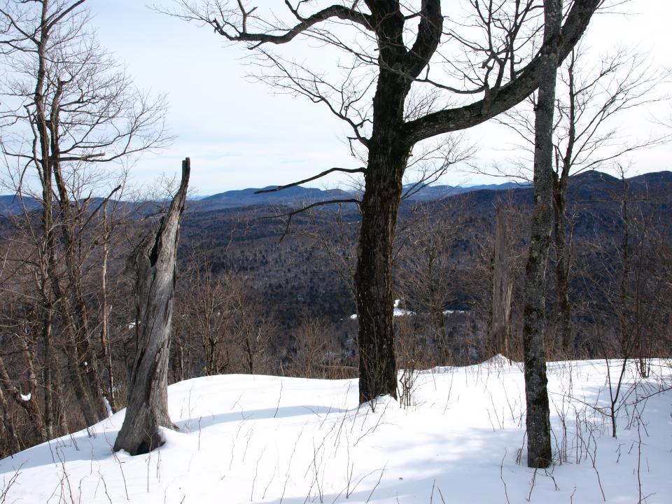 Summit of Humphrey Mountain