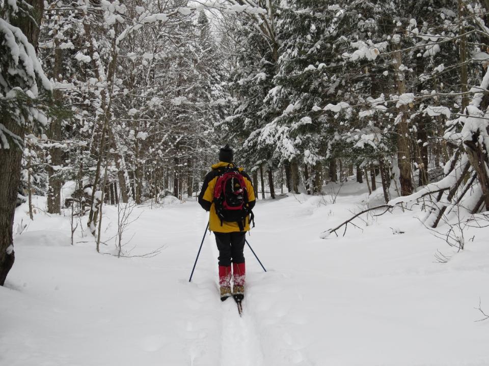 Skiing the old dirt road