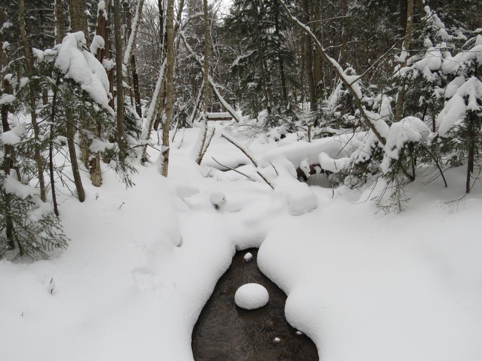 Open water under the first brook