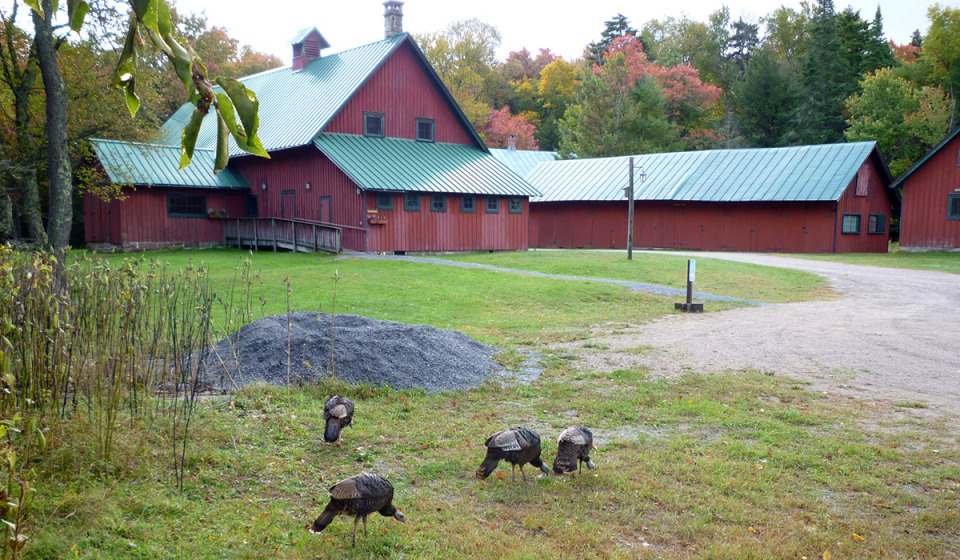 Workman's Camp (photo provided)