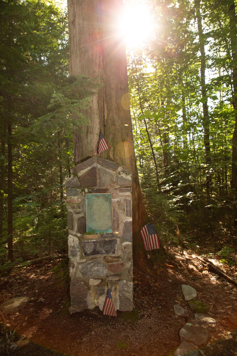 A stone memorial in a forest.