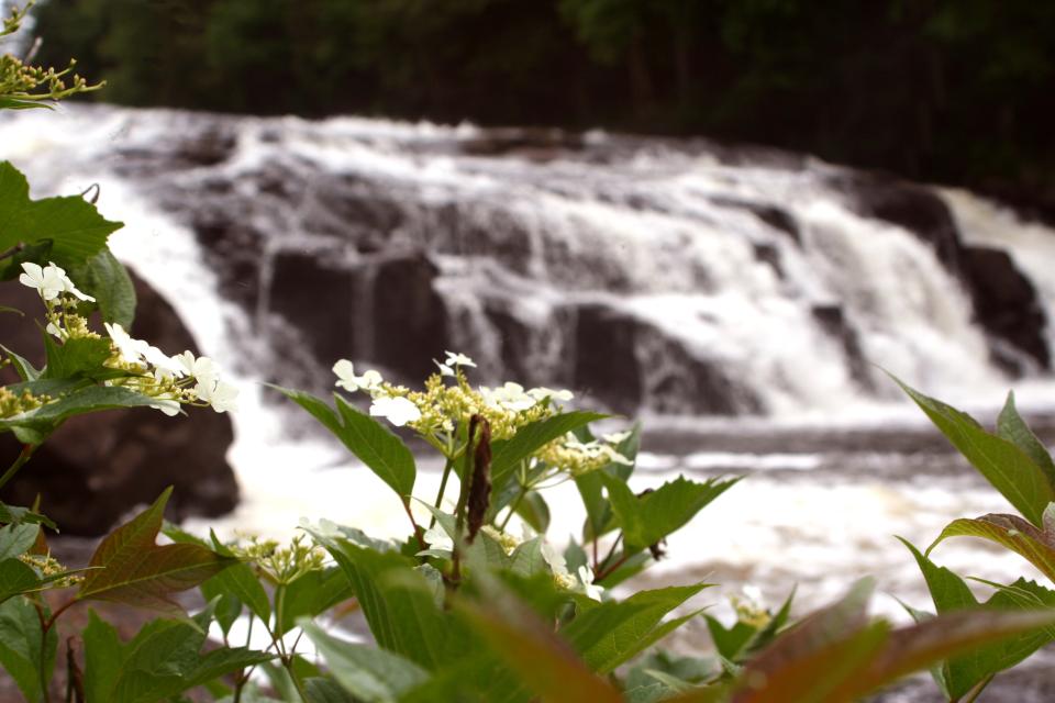 Buttermilk Falls