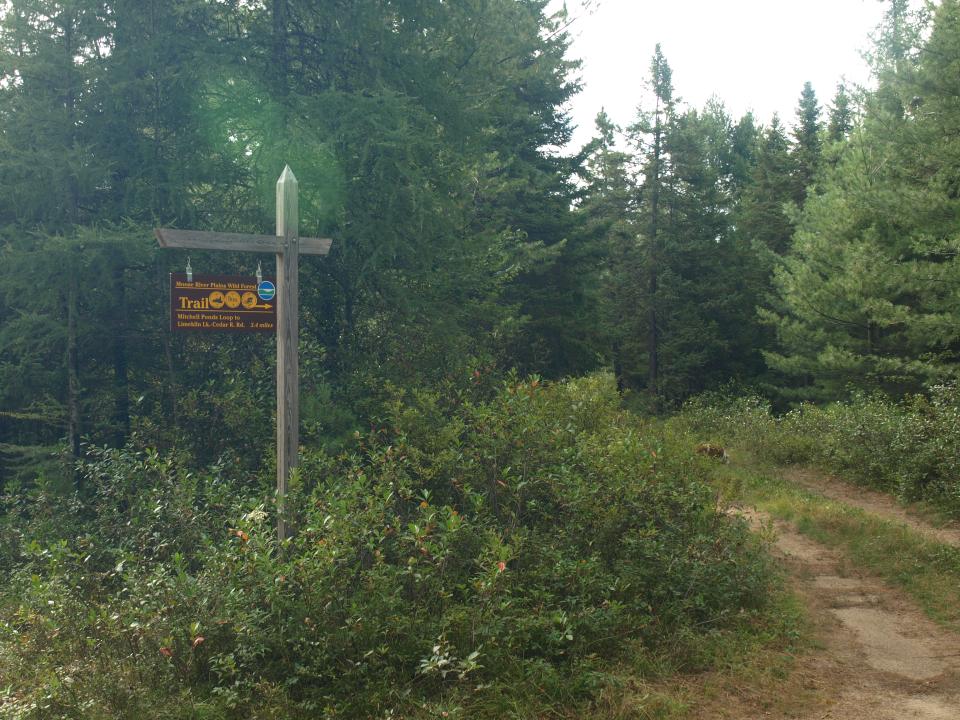 Trailhead