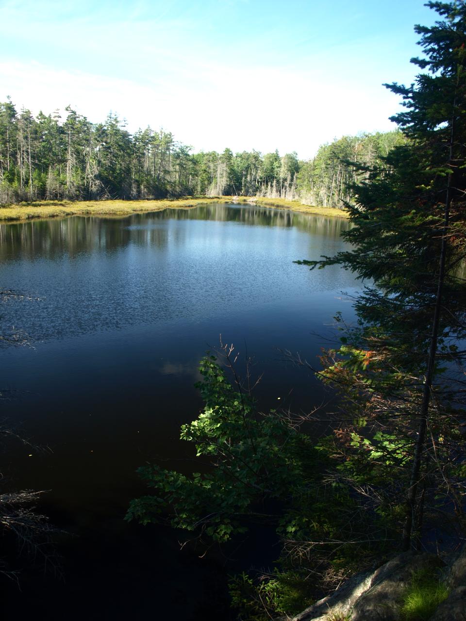 Hidden Pond