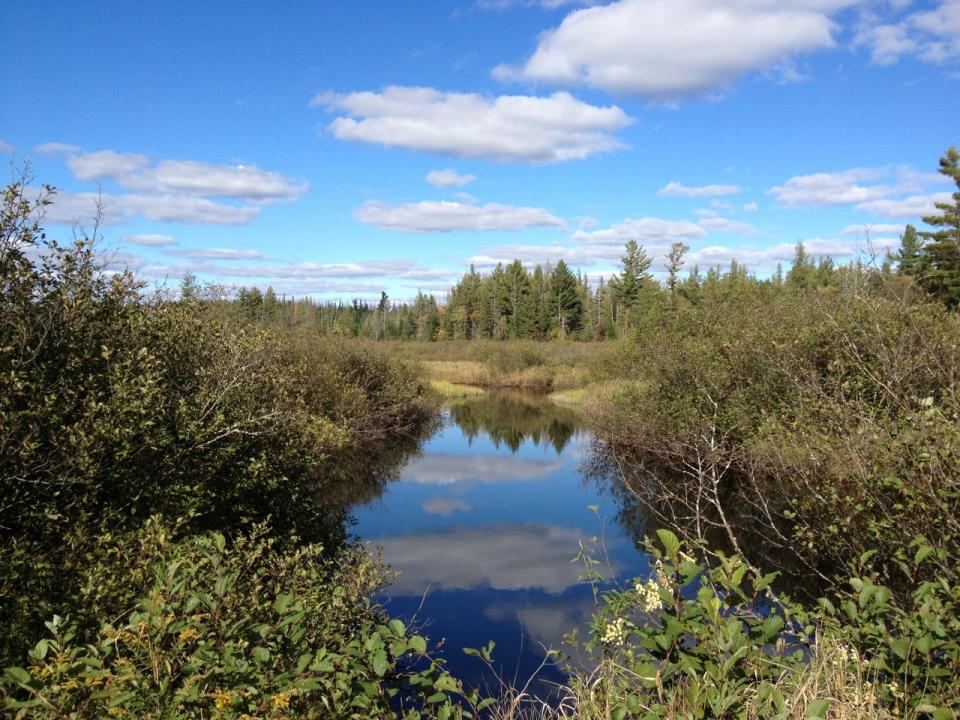 A small river surrounded by low shurbs