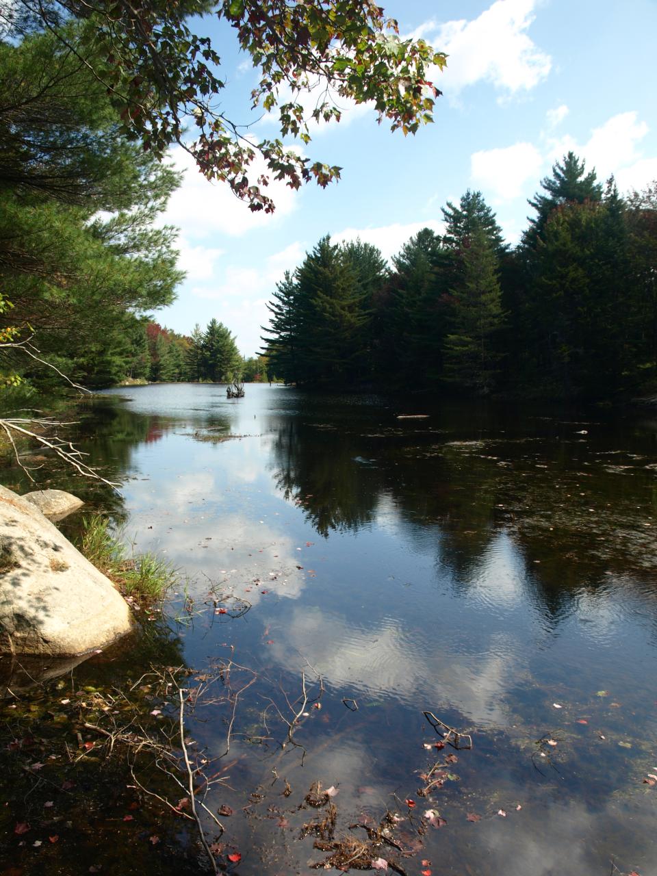 Beaver Pond