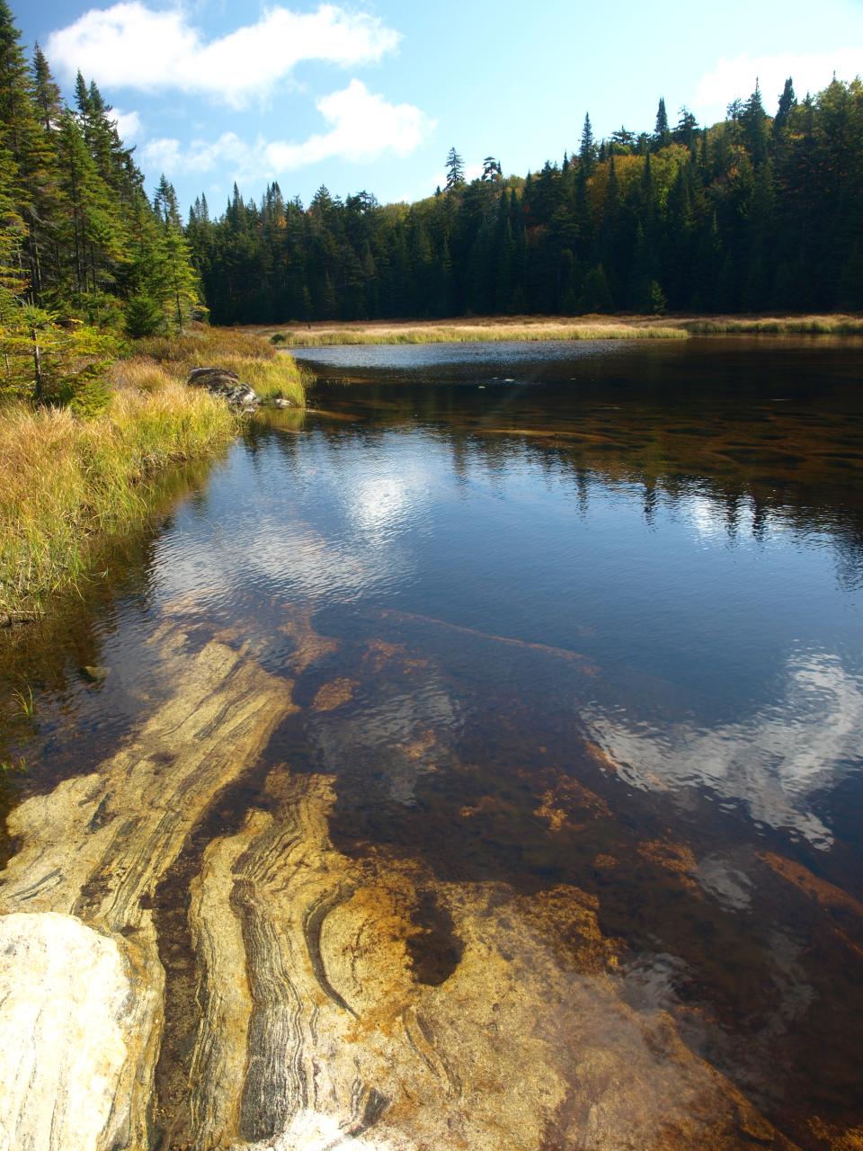 Jimmy Pond