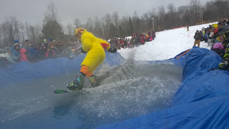 Pondskimming Oak Mountain