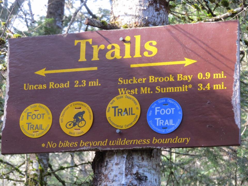 Intersection of trails at bridge over Beaver Brook