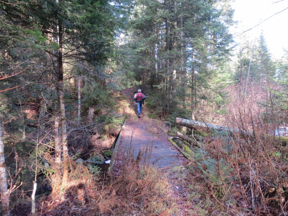 Bridge over Beaver Brook