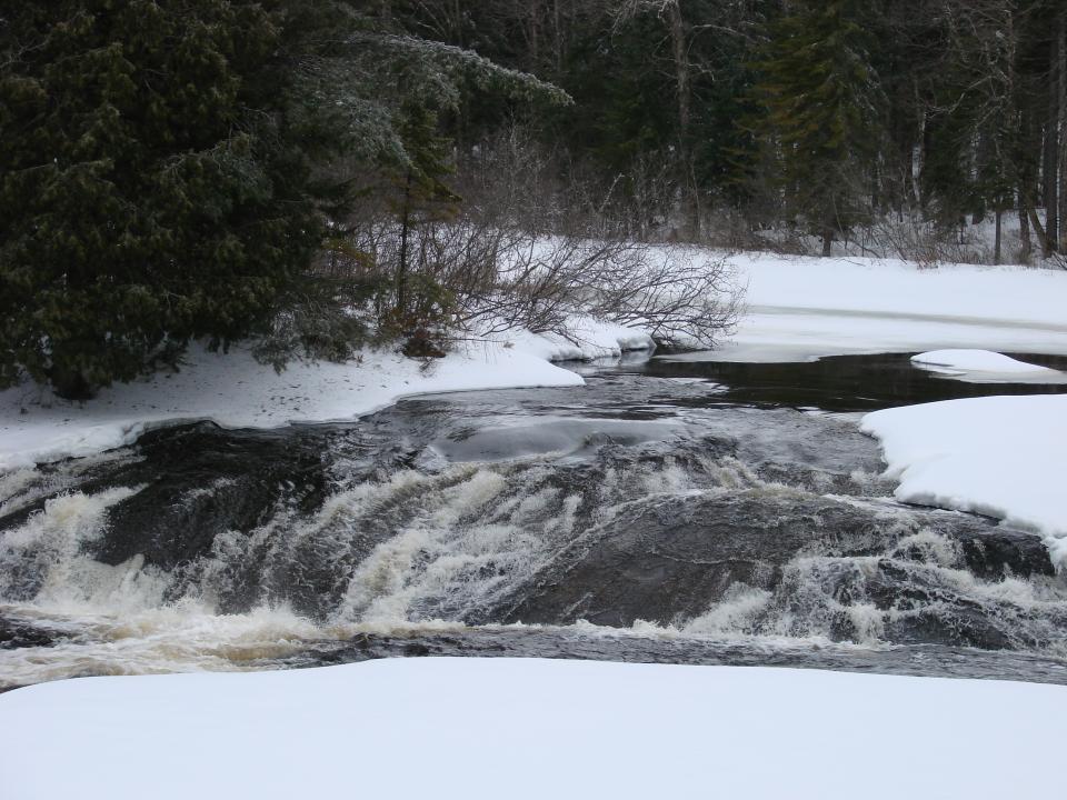 Bog River