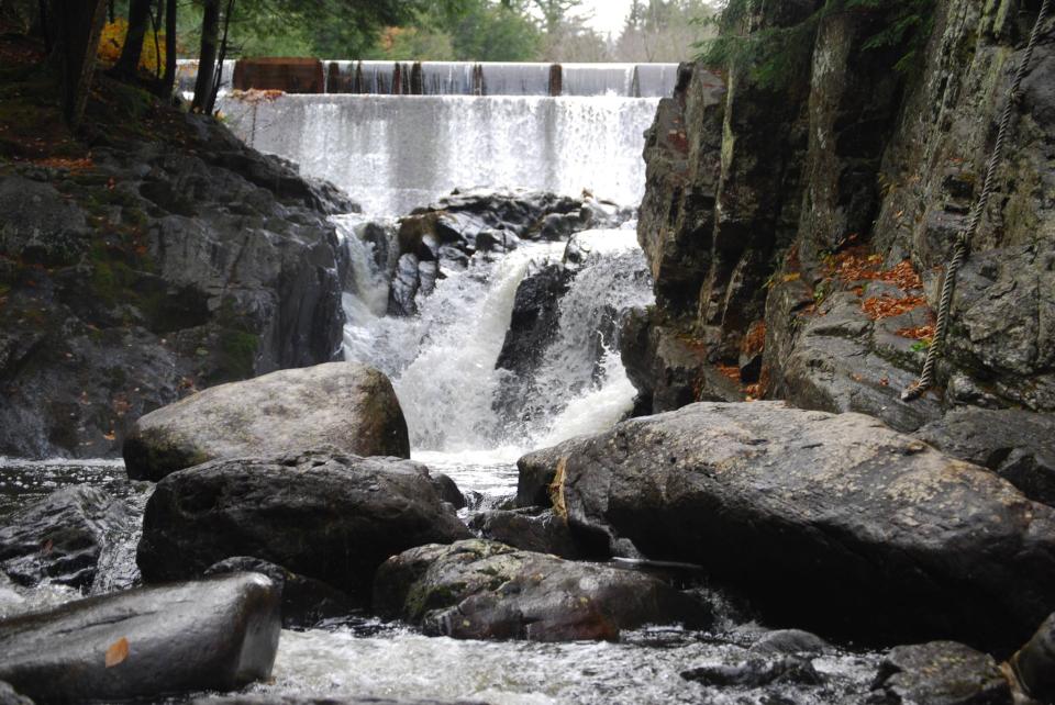 Christine Falls Speculator Dallas Erb