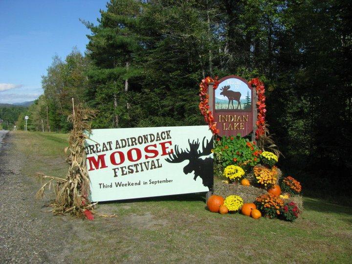 Great Adirondack Moose Festival