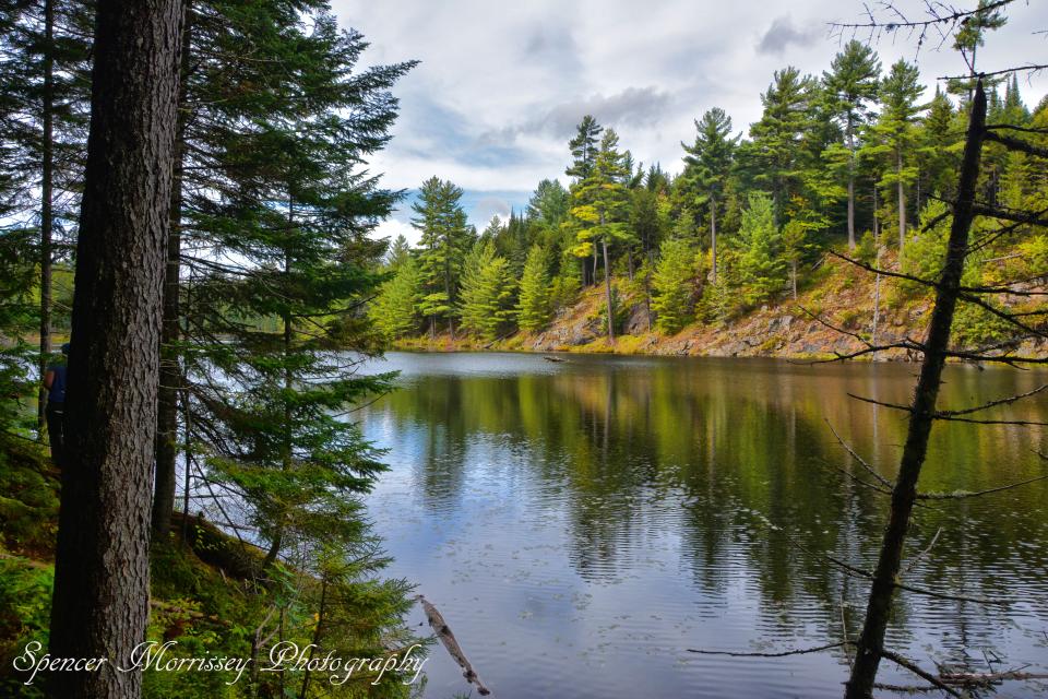 Lost Ponds