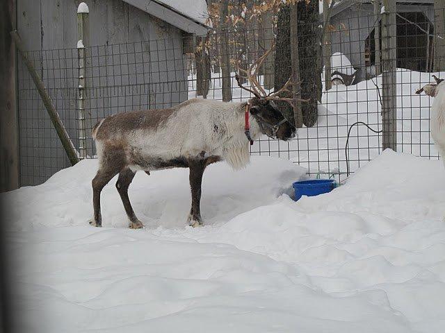 Vima Lapland Lake