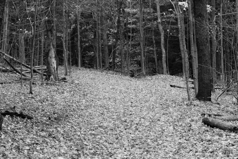 Jasper Day Trail, Inlet