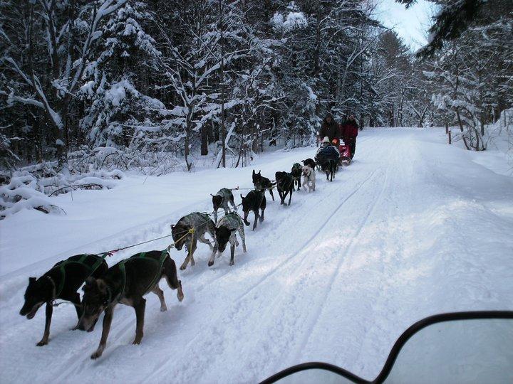 Snocade Dogsled