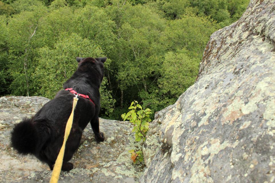 Belle contemplates the fast way down, into the depression.