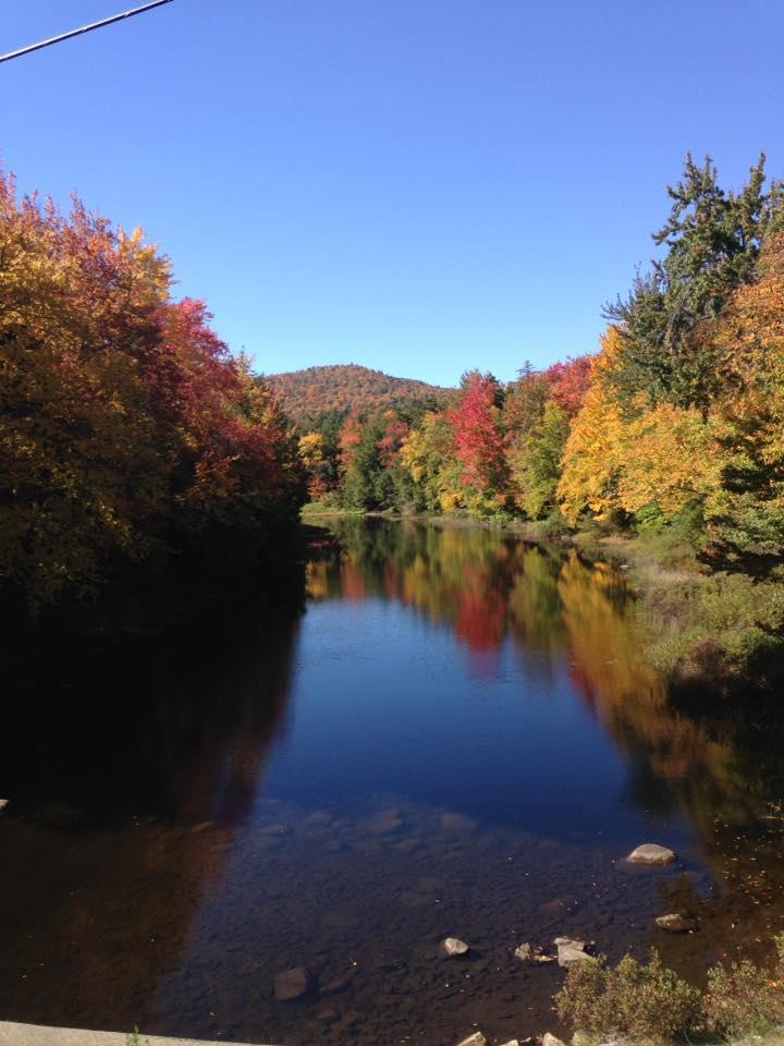 Fall Colors by Gary Rhinehart