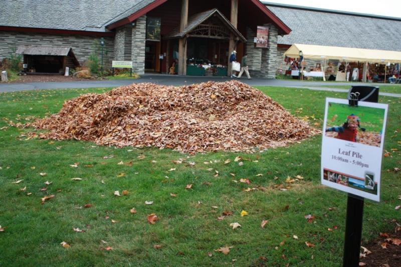 Fall at Adirondack Experience, the Museum on Blue Mountain Lake.