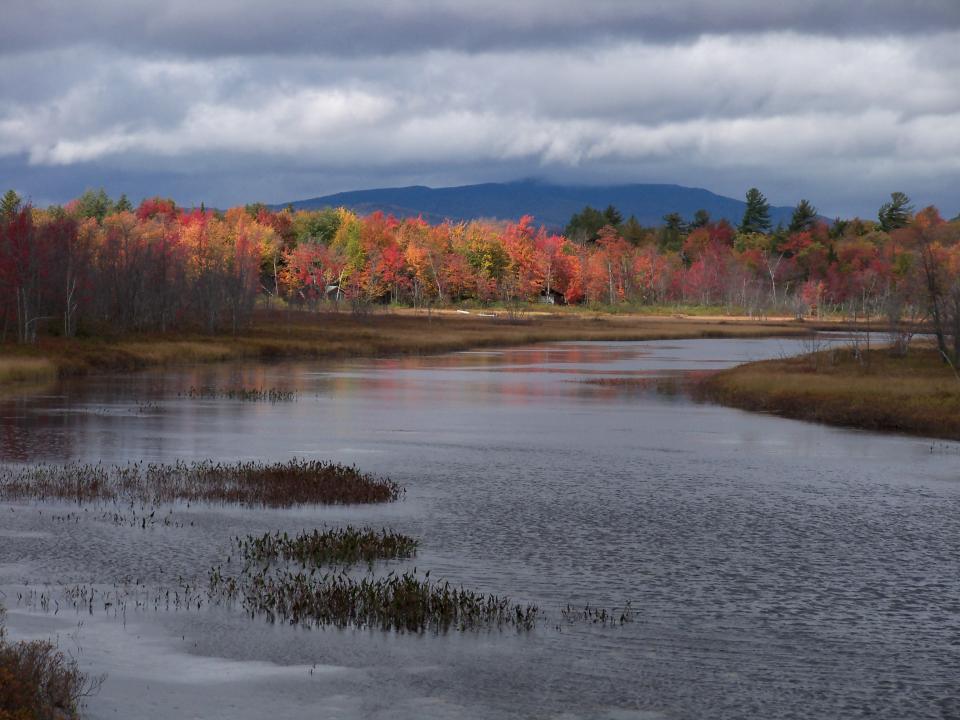 Adirondack fall foliage