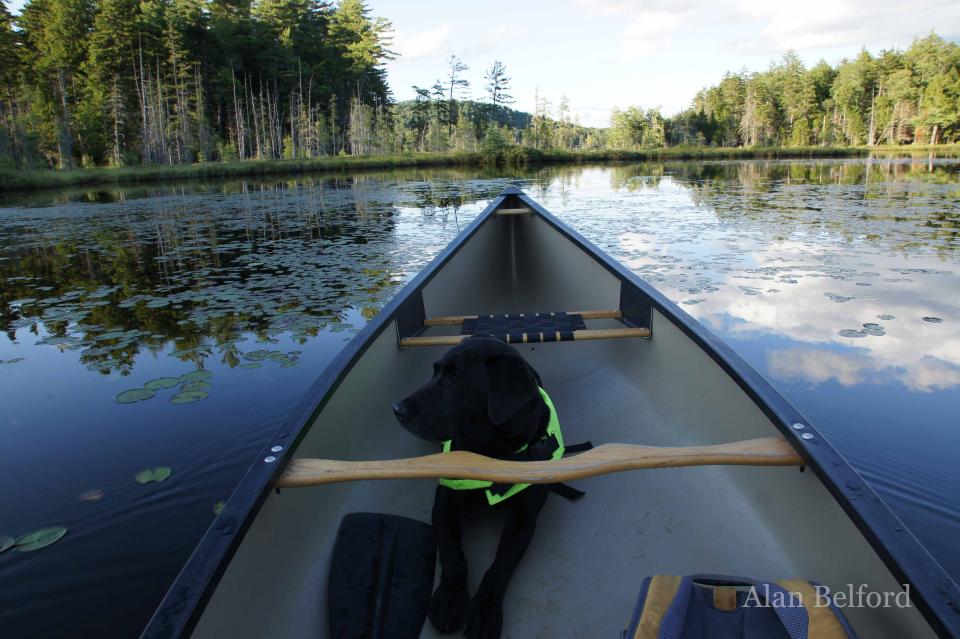 Spring brings with it lots of opportunities to paddle!