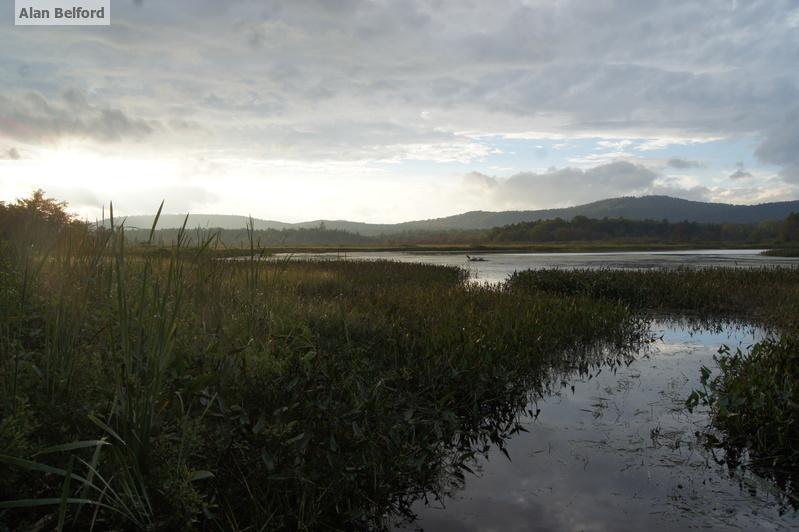 The marsh is simply beautiful - with loads of places to explore.