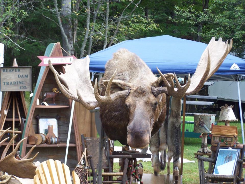 Adirondack Moose Festival