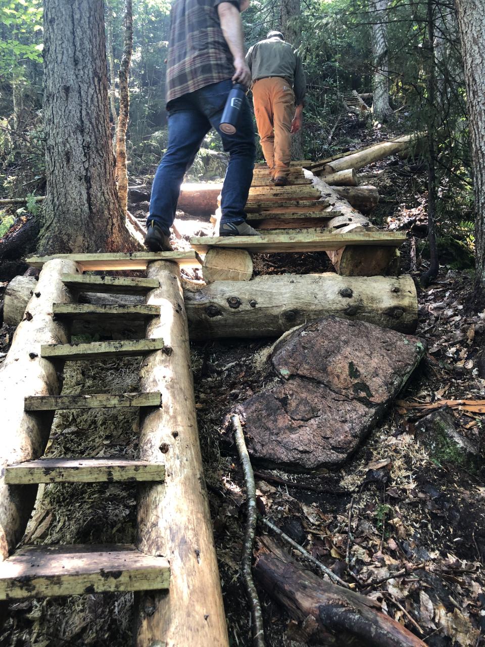 People hiking Buck Mountain Fire Trail