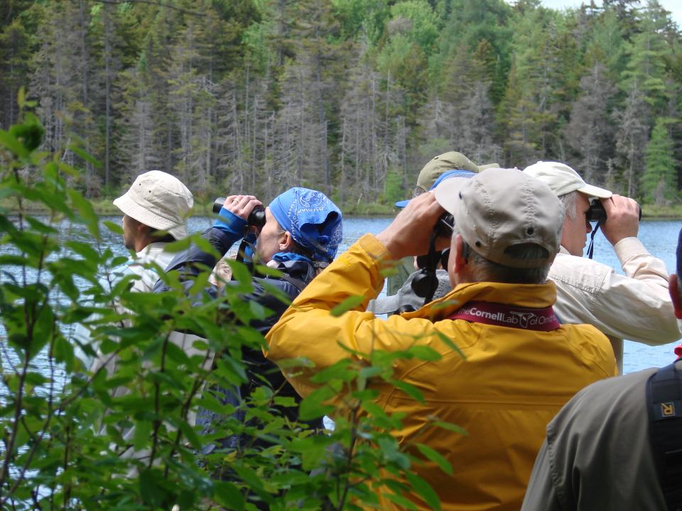 Birders looking through their binoculars at Ferd's Bog.