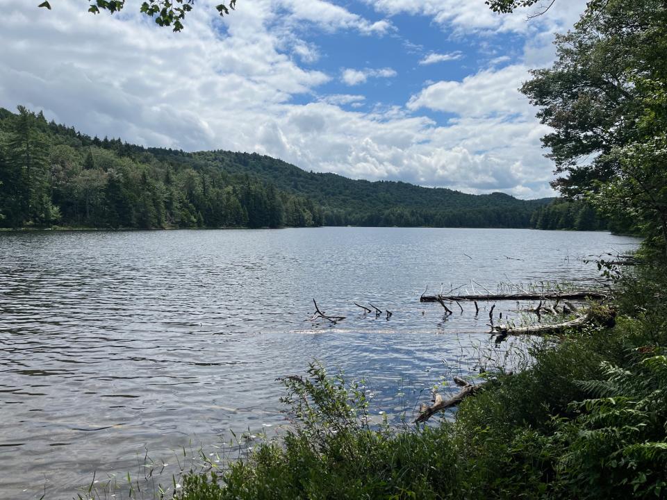 The shores of Bubb Lake near Inlet, NY.