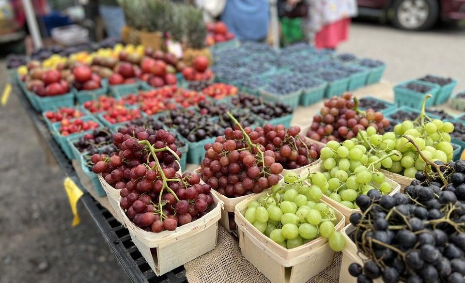 a table with a variety of fruit- grapes, berries, cherries, in pint size containers