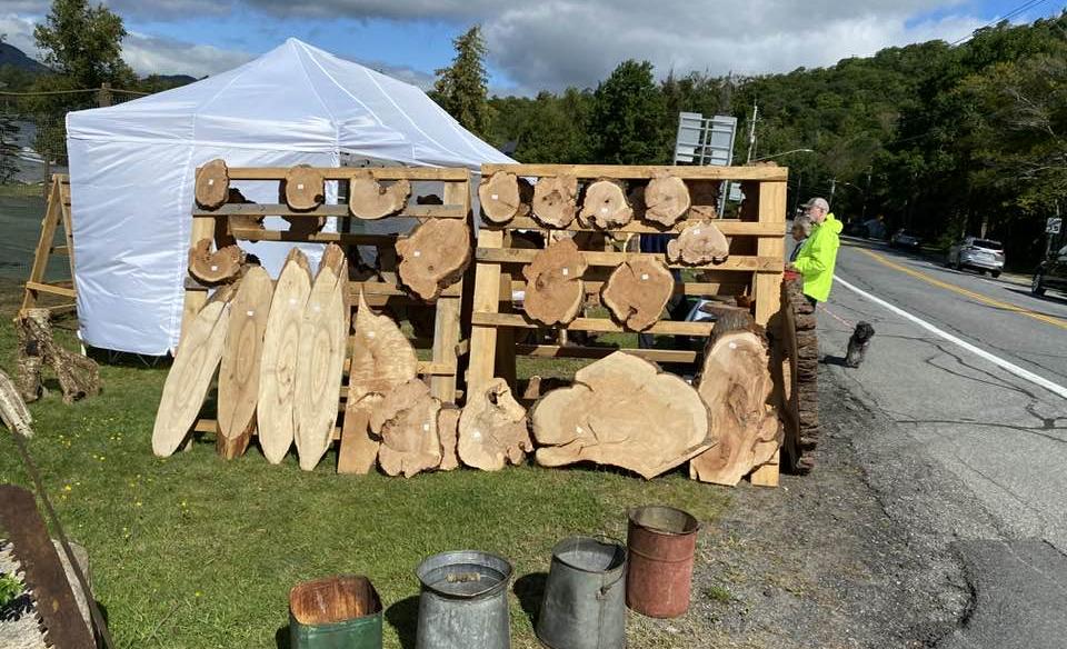 Wood slabs displayed for sale