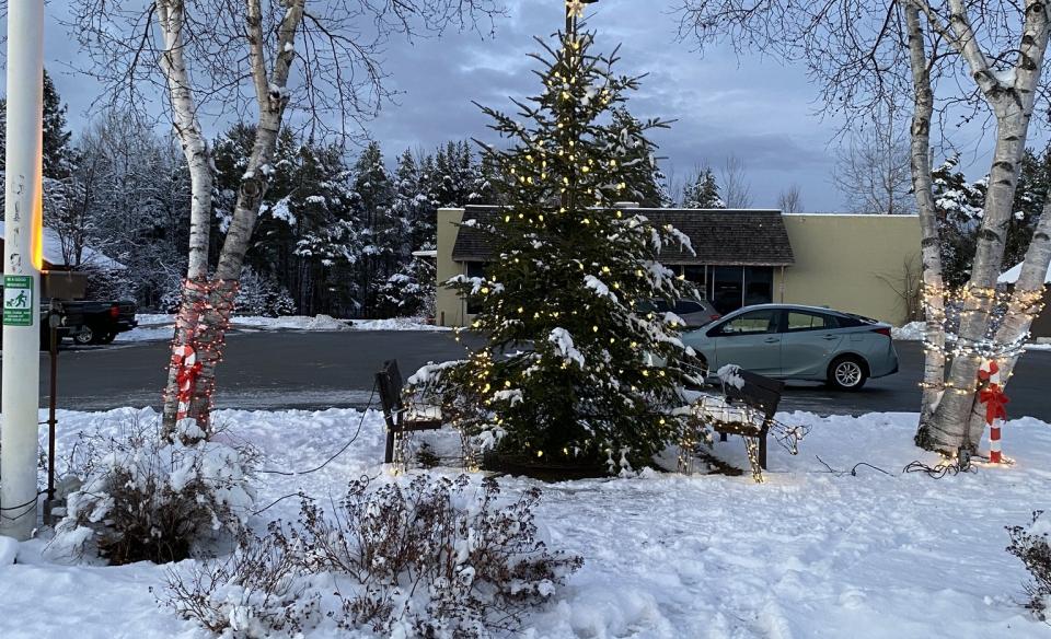 The Christmas tree with lights on it