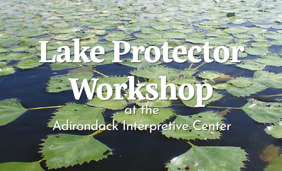 image of lilly pads floating in still water with a white text overlay reading 