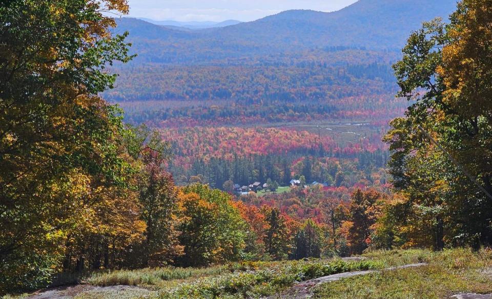 The view of colorful fall trees from the top of Oak Mountain