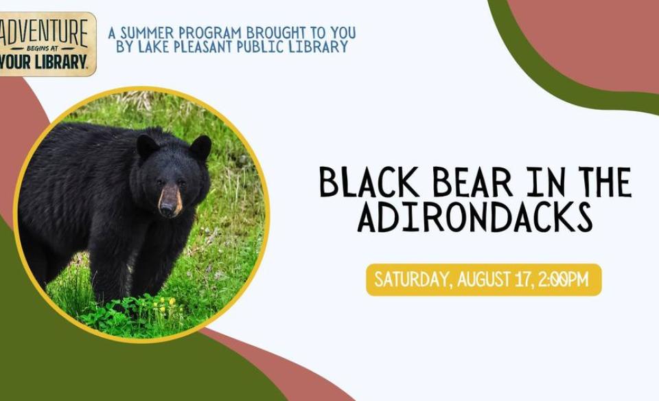 A picture of a black bear on the information poster for the event - black Bear in the Adirondacks