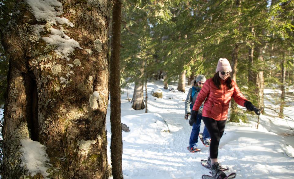 Two people out on a sunny winter day snowshoeing