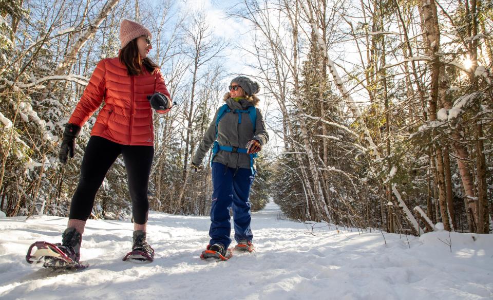 Two people snowshoeing in a wintery forest