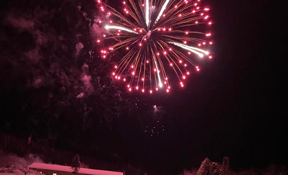 a bright pink firework bursting in the sky