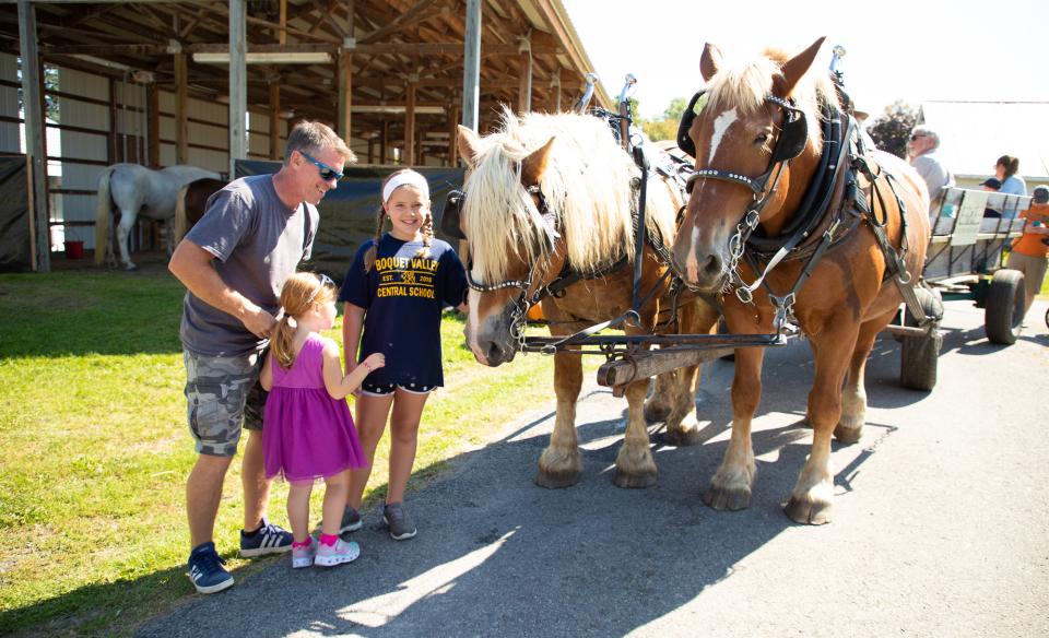 Kids petting large horses