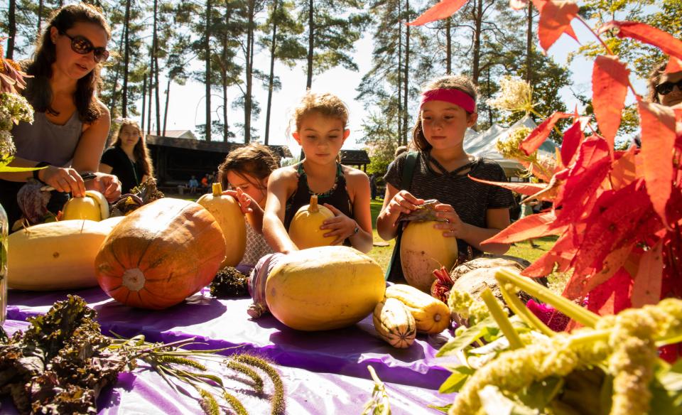 Kids looks at gourds