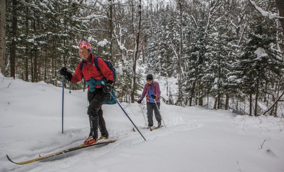 Two people cross country skiing through the woods