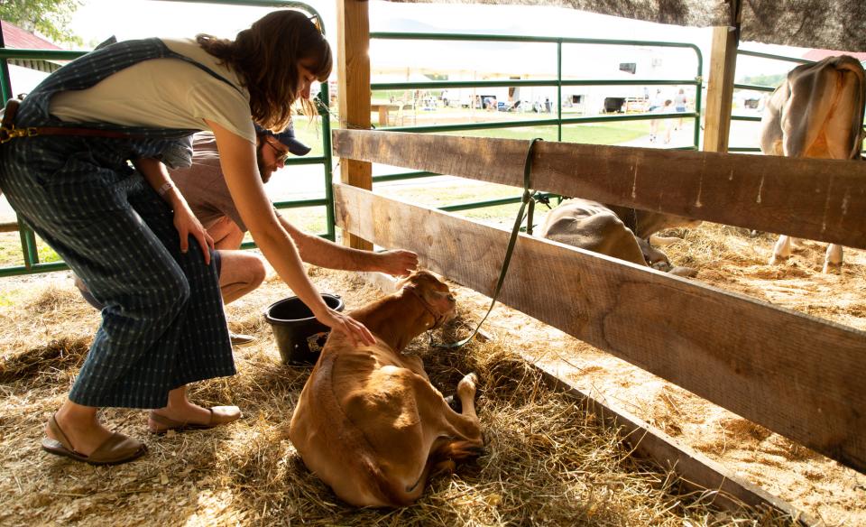 woman petting a cow at the fair