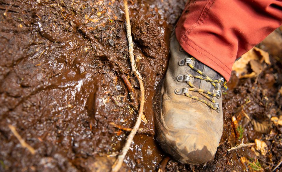 A hiker's boots in the mud