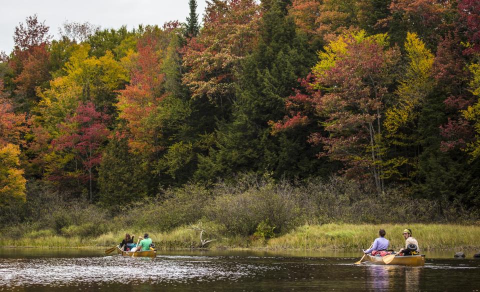 A couple tandem canoes in a river in the fall