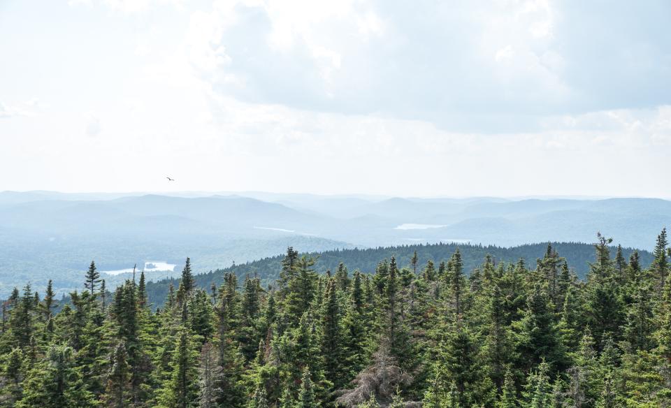 The vioew of short mountains and lakes from a firetower