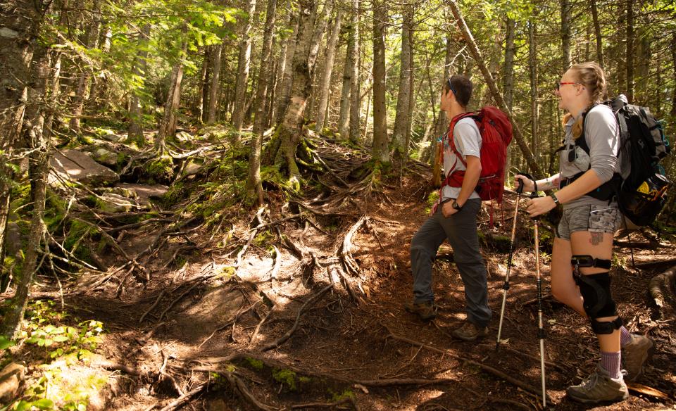 Two hikers on a root-filled trail